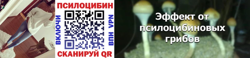 ссылка на мегу рабочий сайт  где купить наркоту  Хасавюрт  Галлюциногенные грибы Magic Shrooms 
