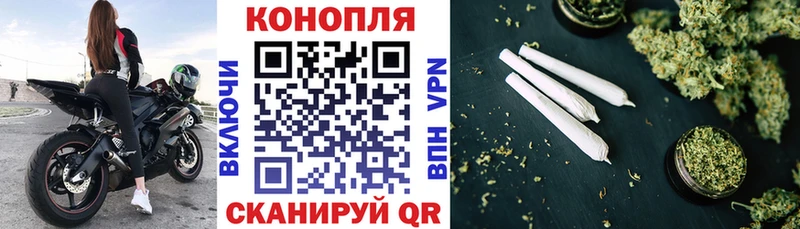 купить наркотики сайты  Хасавюрт  Бошки Шишки конопля 