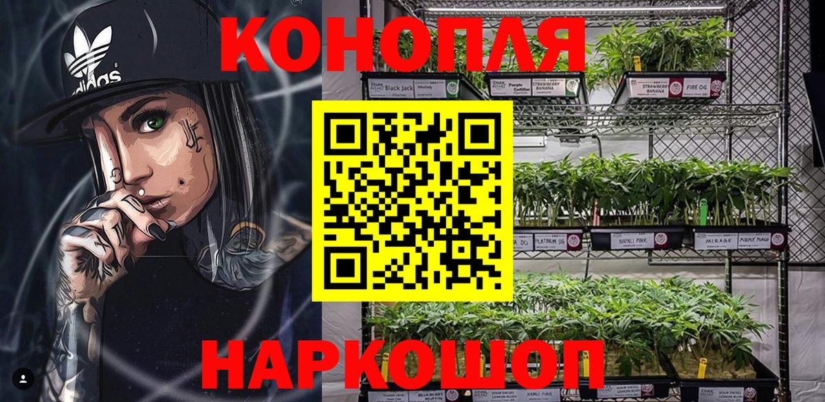 Шишки марихуана Ganja Хасавюрт